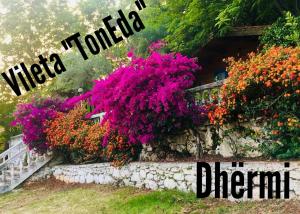 a bunch of flowers on a stone wall at TONEDA Seaside Bungalows in Dhërmi