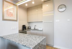 Kuchnia lub aneks kuchenny w obiekcie Apartamenty NAVIGATOR-Rezydencja Portowa 14