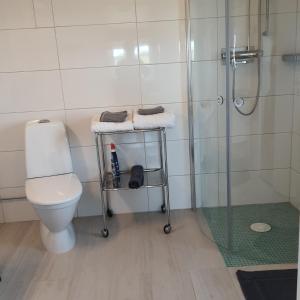 a bathroom with a toilet and a glass shower at Torpet Gårdsvägen in Hammar +13 photos
