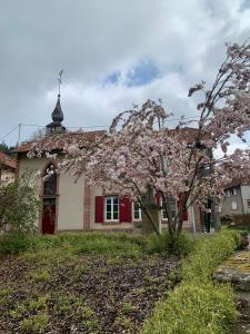 Zahrada ubytování Bastide du Soldat