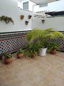 Fotografia z galérie ubytovania Casa adosada - Los Boliches - Fuengirola v destinácii Fuengirola