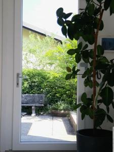 OnnoにあるVilla Mariaのベンチ横の植物の扉