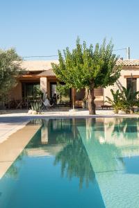a swimming pool with a tree and a house at IUTA Farm in Noto