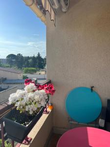 勒格羅－迪魯瓦的住宿－L'Olivier，阳台配有蓝色椅子和花架