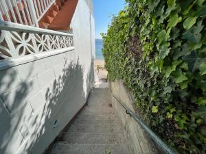 A garden outside Oktheway Perbes Beach 2
