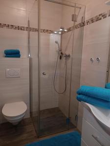 een badkamer met een douche, toilet en wastafel bij Ferienhof Schönfelder in Königstein an der Elbe +88 foto's