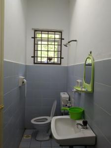 La salle de bains est pourvue de toilettes, d'un lavabo et d'un miroir. dans l'établissement Afamily Homestay, à Ipoh