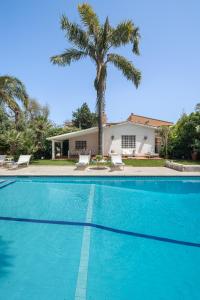 a blue swimming pool with a palm tree and a house at Domus Orestea Luxury Suites in Palermo
