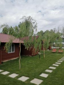 a house with a tree in the yard at Căsuțele Deltei in Mahmudia