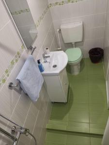 Phòng tắm tại Căsuțele Deltei