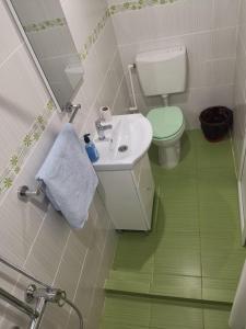 a small bathroom with a toilet and a sink at Căsuțele Deltei in Mahmudia