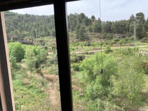 Billede fra billedgalleriet på Cal Roig i Margalef