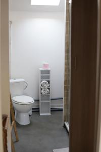 a bathroom with a white toilet in a room at L'Atelier @ Le Prielle in Madiran +37 photos