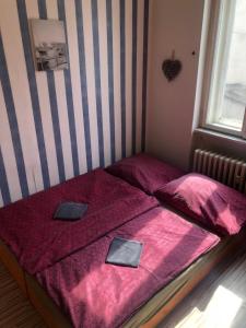 ein kleines Schlafzimmer mit 2 Betten und rosafarbener Bettwäsche in der Unterkunft Easy Backpacker Old Town in Košice