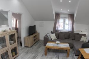 ein Wohnzimmer mit Sofa und Fernseher in der Unterkunft Apartments Mara in Jelsa