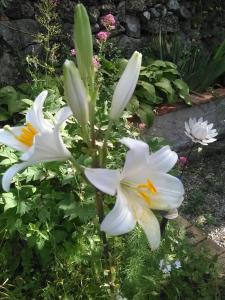 Photo de la galerie de l'établissement Gîte Trinacria, à Breil-sur-Roya