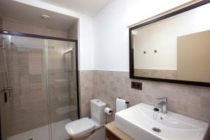 bagno con servizi igienici, lavandino e specchio di Apartamentos La Espadaña a Rota