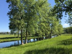 a row of trees next to a river at Apartments Gacka Valley in Otočac