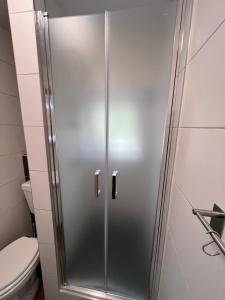 een douchecabine in een badkamer met een toilet bij Ferienwohnung Bispingen in Bispingen