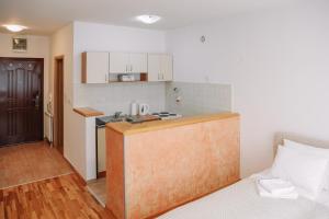 Eldhús eða eldhúskrókur á Apartmani Biser