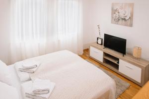 Sjónvarps- og/eða afþreyingartæki á Apartmani Biser