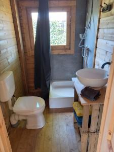 een badkamer met een toilet, een wastafel en een bad bij 't Hertje in Ermelo