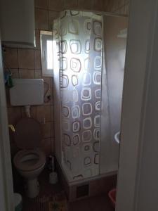 a small bathroom with a toilet and a shower at Apartman MiG in Berkovac