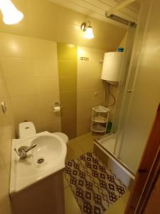 a bathroom with a sink and a toilet and a shower at Domki Noclegowe 693-664-683 in Solina +15 photos