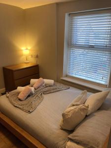 Una cama grande con almohadas y una ventana en un dormitorio. en 'Bloomfield' at stayBOOM en Lancaster