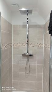 uma casa de banho com chuveiro e cabeça de chuveiro em La BELLA 12 - Chambre d'hôtes SDB Privative em Bordeaux-Saint-Clair