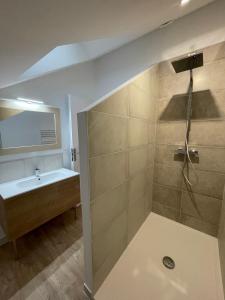 ein Badezimmer mit einer Dusche, einem Waschbecken und einer Badewanne in der Unterkunft Gîte moulin de Chaussac proche du Puy duFou in Saint-Laurent-sur-Sèvre