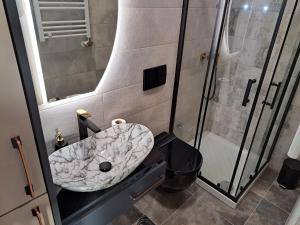 a bathroom with a toilet and a shower and a sink at Apartman Rojić in Novi Sad