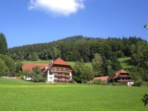 una casa en medio de un campo verde en Geigerbauernhof, en Mühlenbach