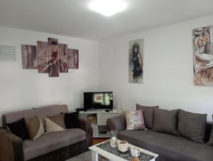 a living room with two couches and a tv at Агни in Vrnjačka Banja