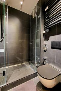 プレーンにあるFeWo Höftsee-Blickのバスルーム(トイレ、ガラス張りのシャワー付)