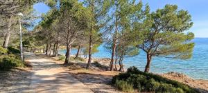 Fotografie z fotogalerie ubytování RELAX Mobile Home Camp Basko Polje #NEW2022 v destinaci Baška Voda
