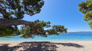 Fotografie z fotogalerie ubytování RELAX Mobile Home Camp Basko Polje #NEW2022 v destinaci Baška Voda