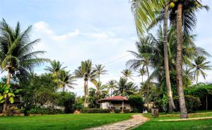 泰巴的住宿－Arco Mundial Taíba，棕榈树草坪和后方的房子
