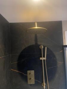 a shower with a light on a black wall at Bayview Apartments in Ballygalley