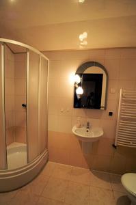 a bathroom with a shower and a sink and a toilet at Gospodarstwo Agroturystyczne U Zdzicha in Bałtów