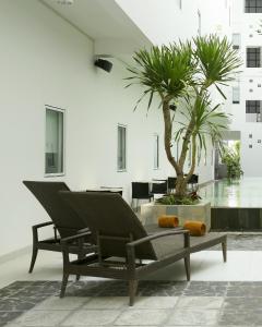 un patio con 2 sillas y una palmera en Amaris Hotel Sunset Road - Bali, en Kuta