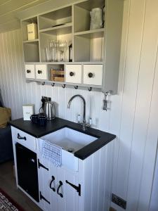 uma cozinha com um lavatório e uma bancada em Home Farm Shepherds Hut with Firepit and Wood Burning Stove em High Wycombe