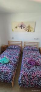 コラレホにあるDunes apartment to relax wifiのベッド2台が隣同士に設置された部屋です。