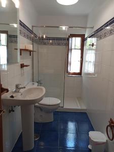 ein Bad mit einem Waschbecken, einem WC und einer Dusche in der Unterkunft Apartamentos Rurales Inguanzo in Villanueva de Pría
