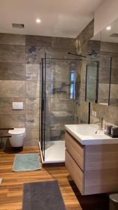 a bathroom with a shower and a sink and a toilet at Ferienwohnung in Erfurt am Dom in Erfurt