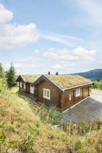 a log home with a grass roof at ReveEnka - cabin in Trysil with Jacuzzi for rent in Trysil