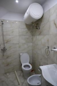 y baño con aseo y lavamanos. en Downtown Apartment 2, en Berat