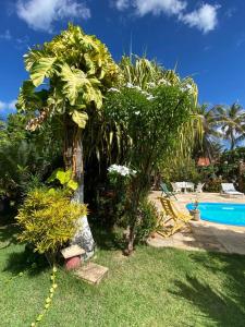 um jardim com piscina e árvores e um resort em Casa Tropical Taiba em Taíba