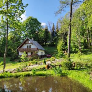 una casa con un estanque delante de ella en Chalet Horní Orlice, en Červená Voda
