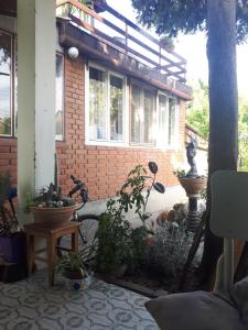 une maison avec des plantes dans la cour avant dans l'établissement Garden Room, à Novi Sad 3 autres photos